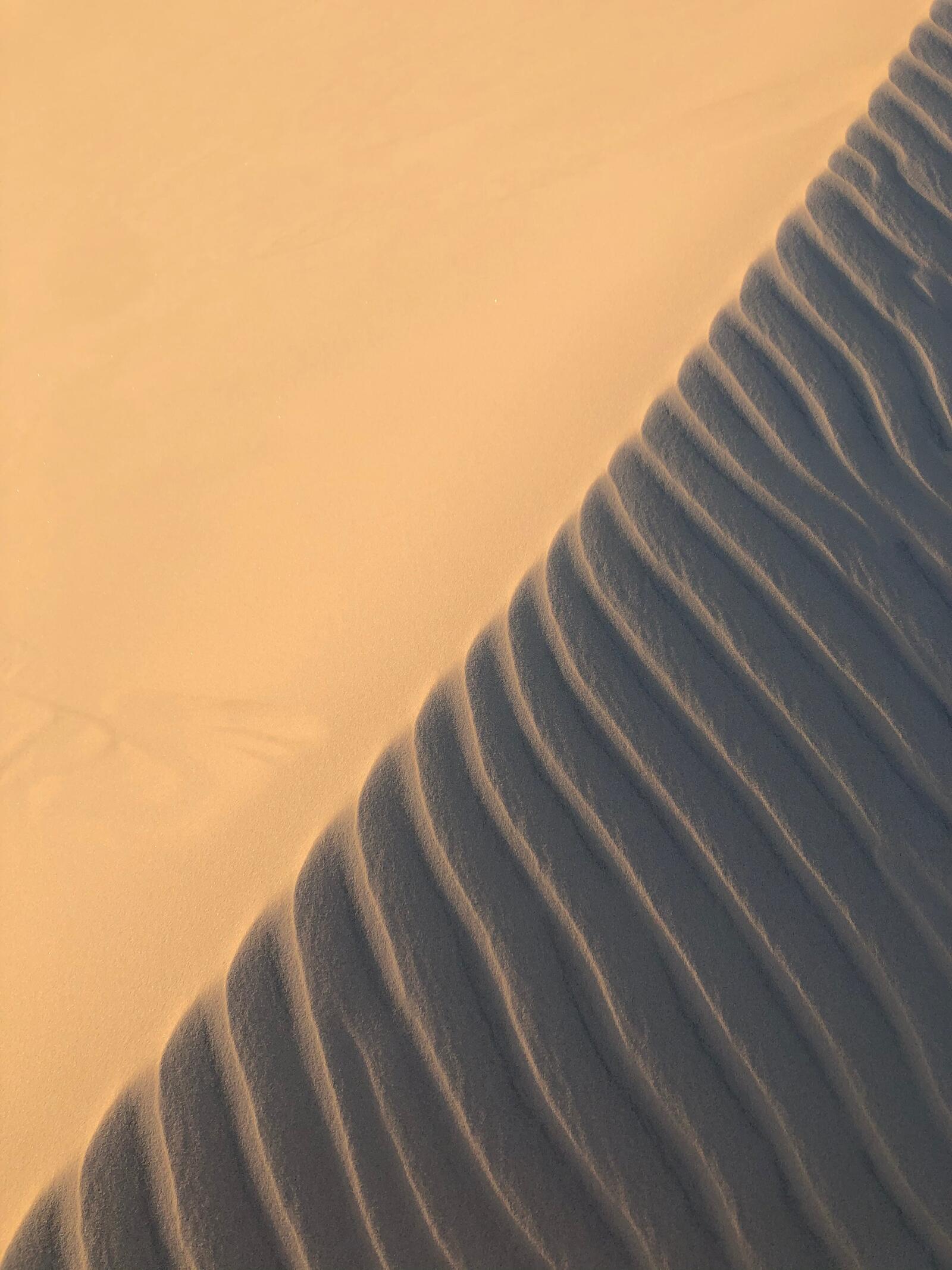 Two contrasting sand textures, coarse and fine grain side by side