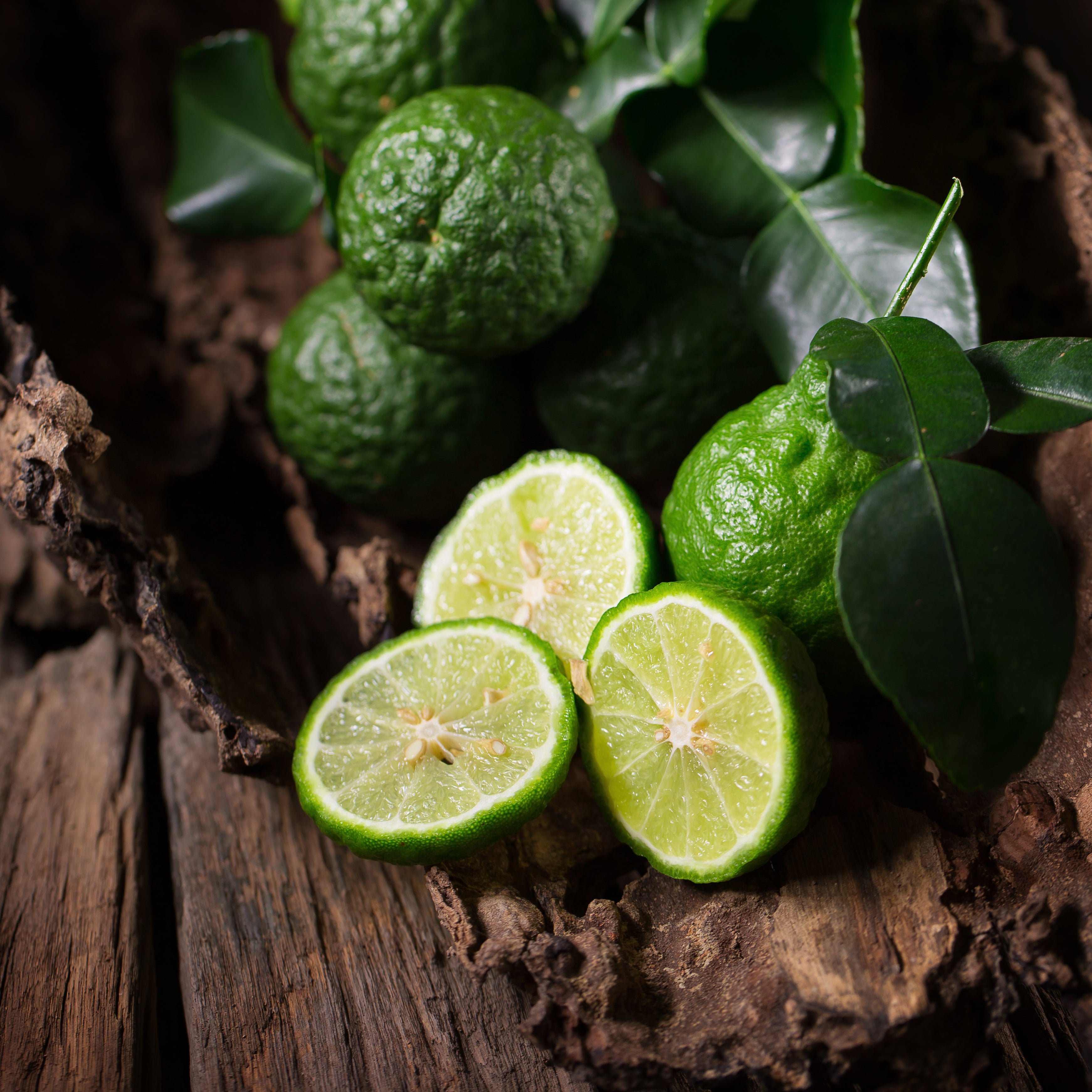 Solara Blanc — Exfoliating Cleansing Scrub